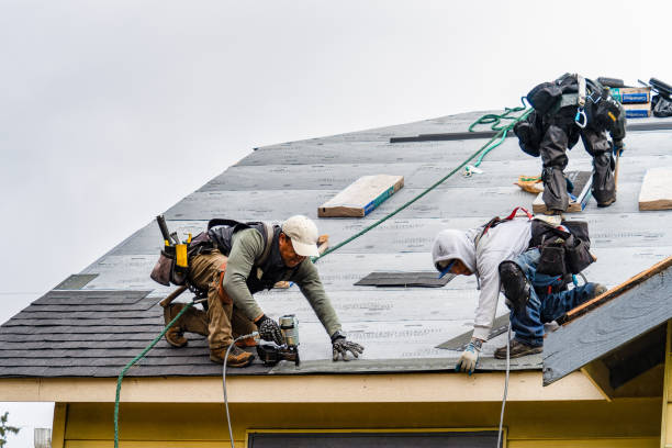 Professional Storm Damage Roof Repair technician working in Woodville, MA